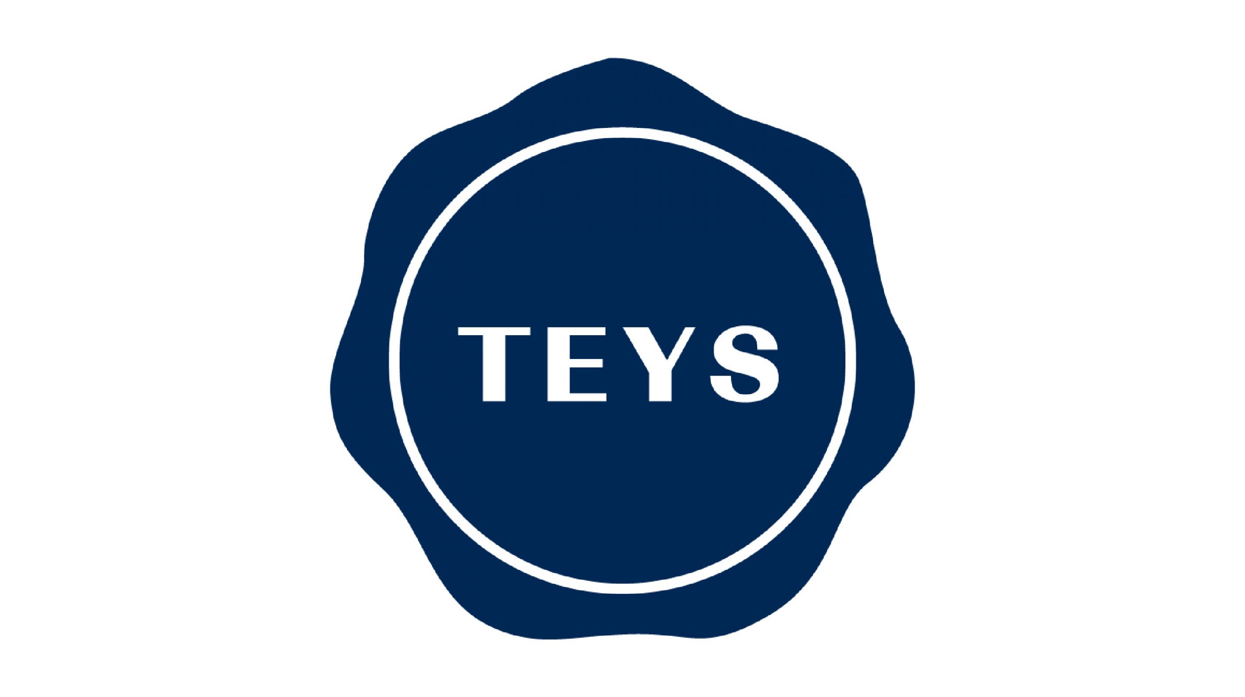 Teys logo